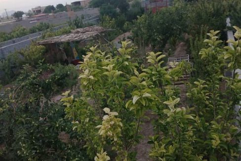 باغ روستای ازیران