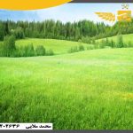 نکات کلیدی برای خرید و فروش زمین در اصفهان